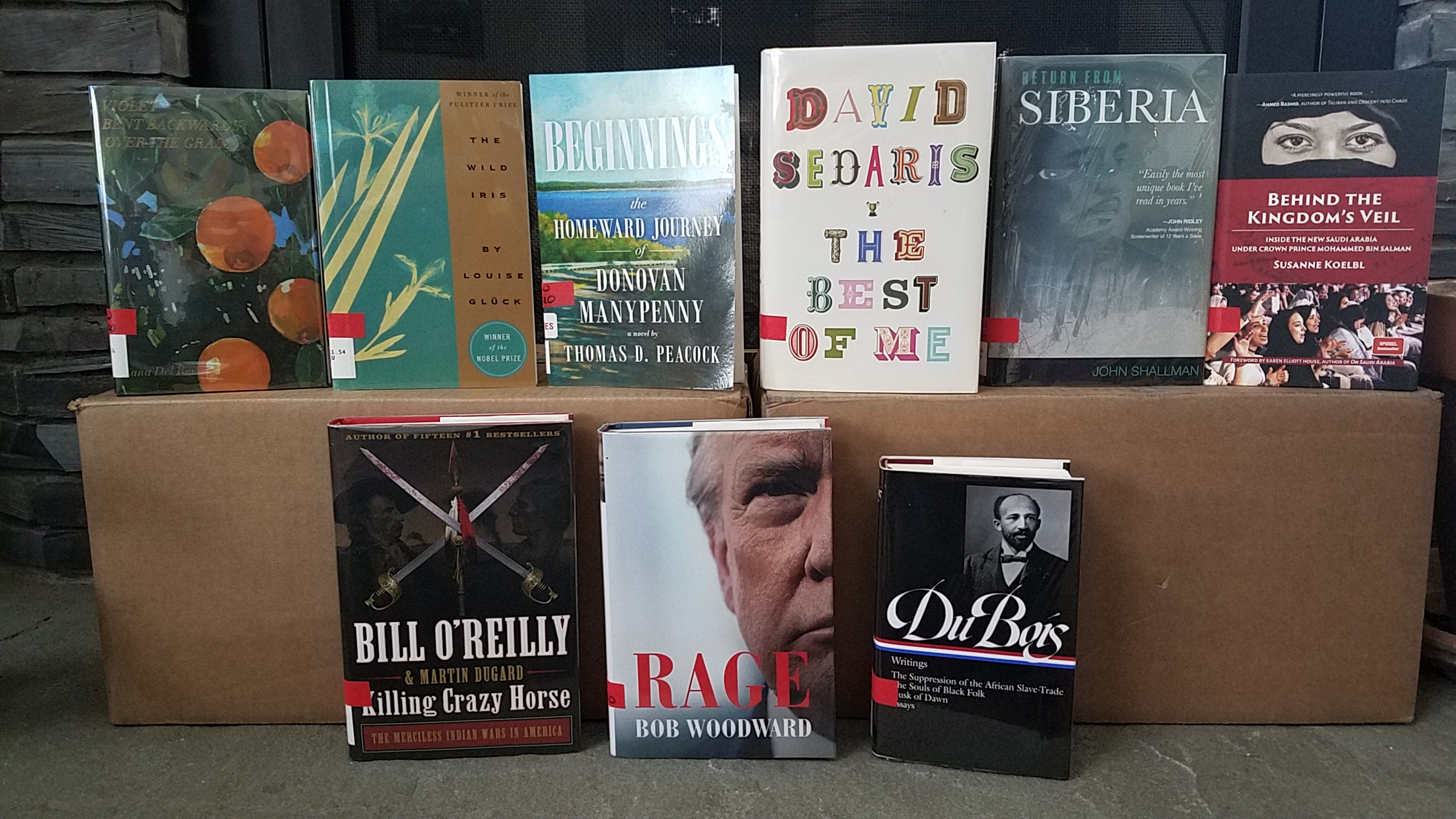 New Adult Non Fiction & Biography