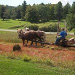 plymouth-farmer-fred-960x560