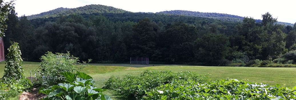 a sunny visual of the DRML gardens, with the mountains looming in the background /end ID